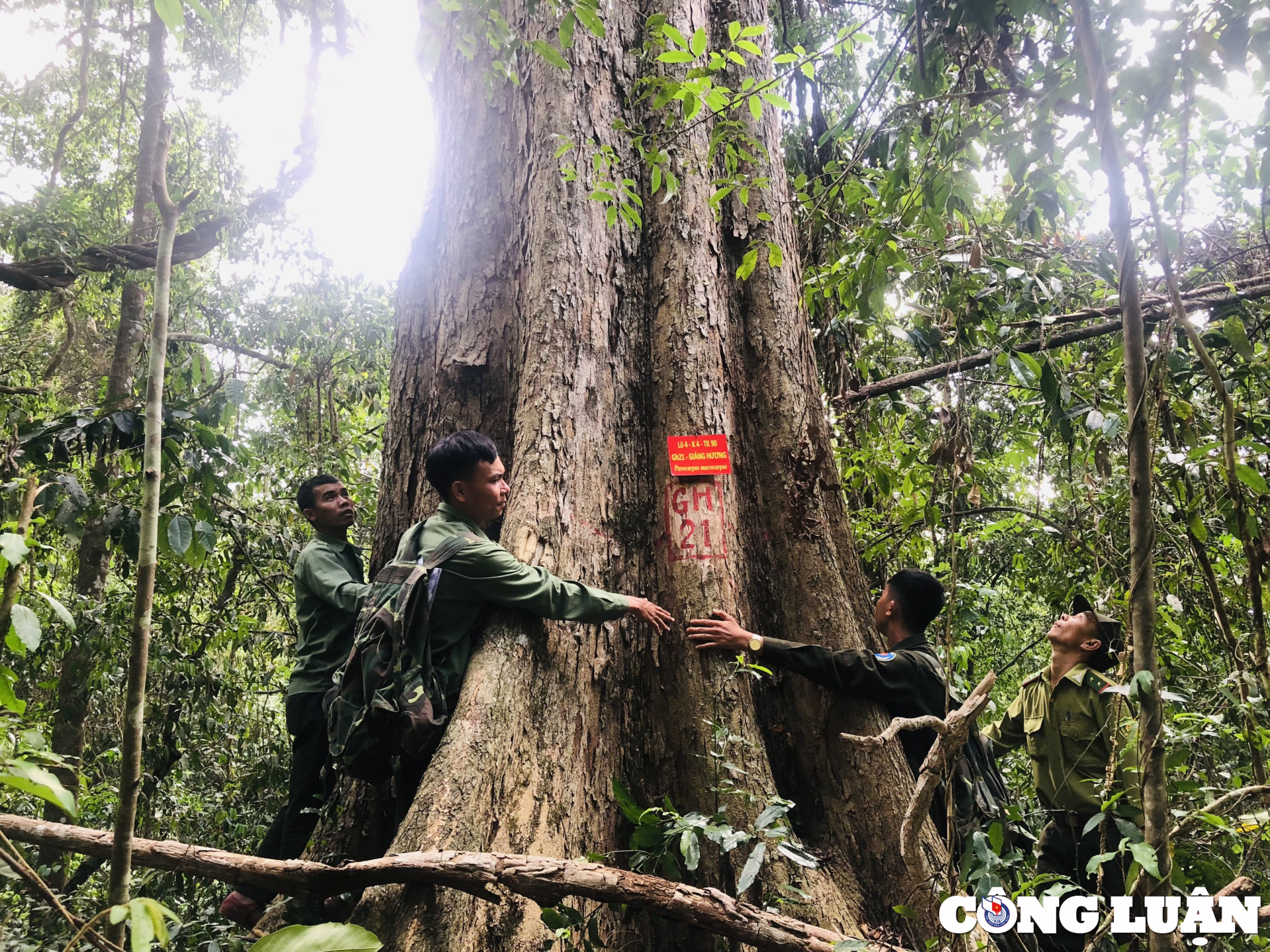 gia lai an ngu giua rung ngay dem canh giu bau vat hinh 3