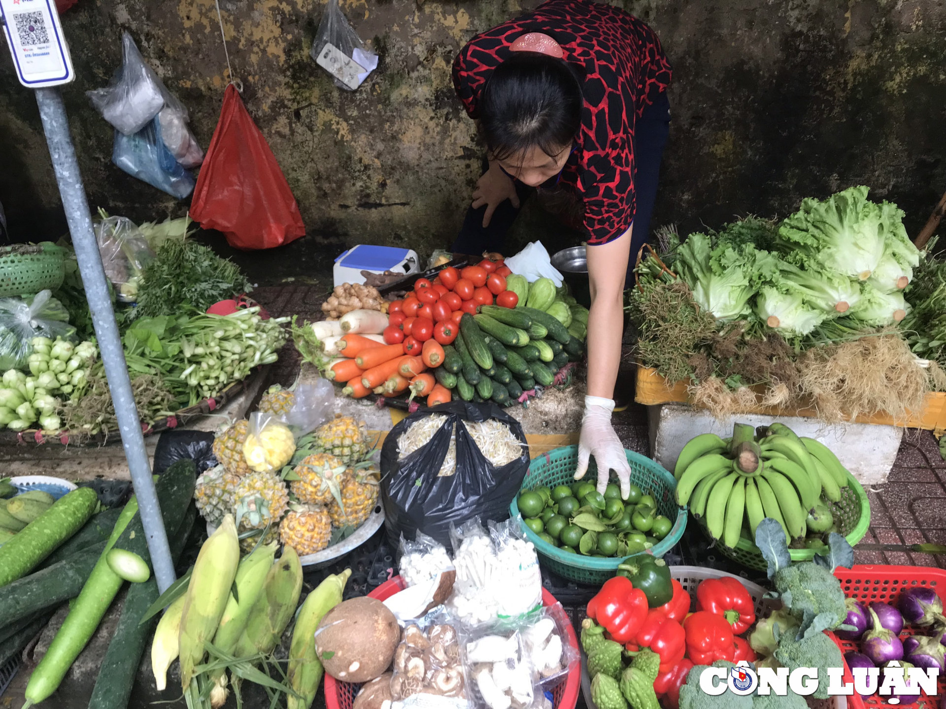 mua lon keo dai rau xanh tang gia hinh 1