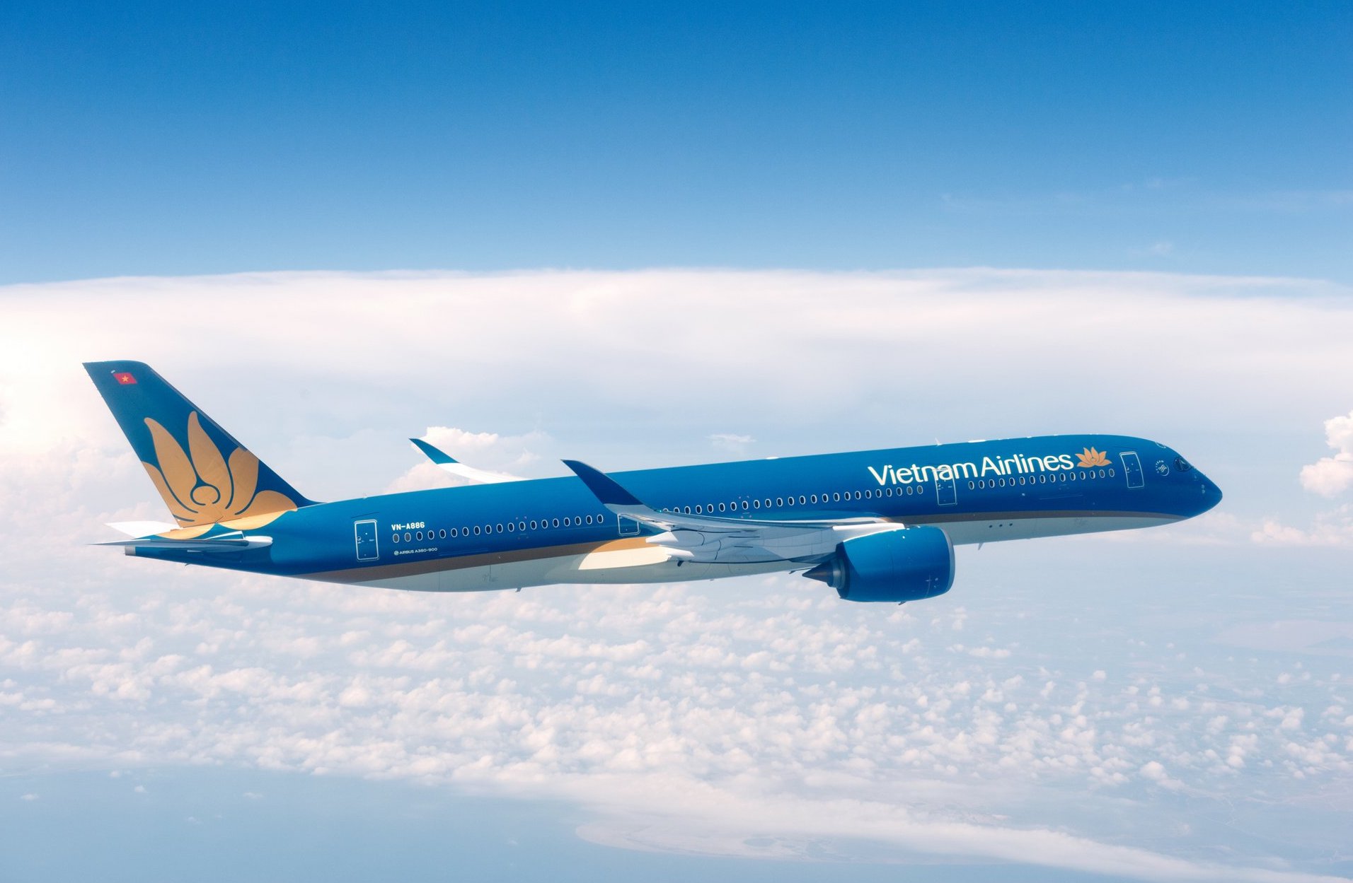 vietnam airlines tham gia dien dan doanh nghiep an do mo rong mang luoi va tang cuong ket noi hai nuoc hinh 3