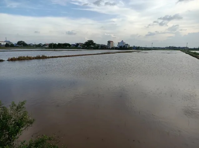 nam dinh chu dong ung pho voi bien doi khi hau va tang cuong bao ve moi truong hinh 1