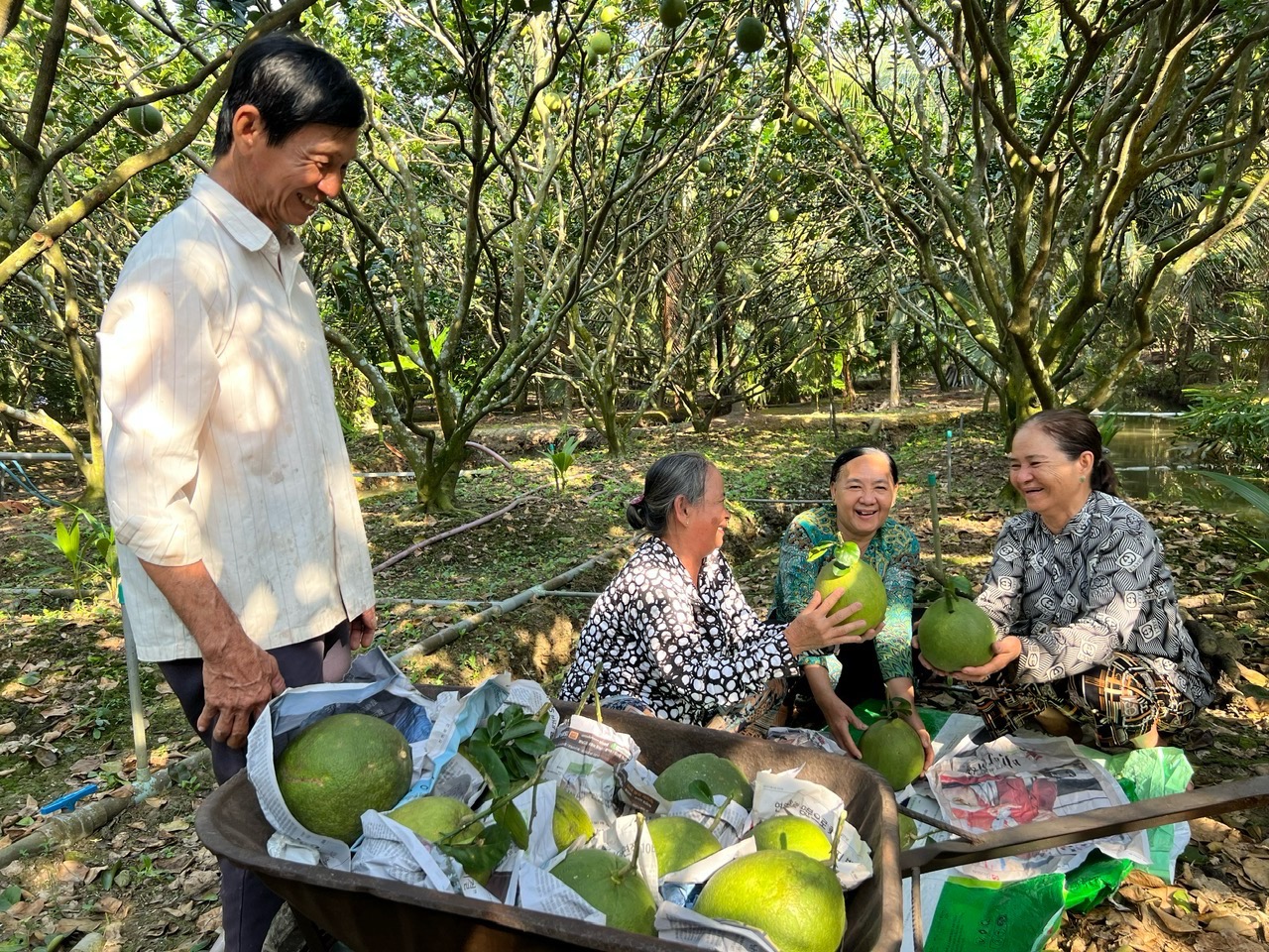 phan bon ca mau thang lon 6 thang dau nam nho dau hinh 2