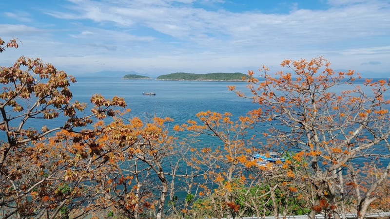 nghe dan vong ngo dong o cu lao cham  di san phi vat the quoc gia hinh 2