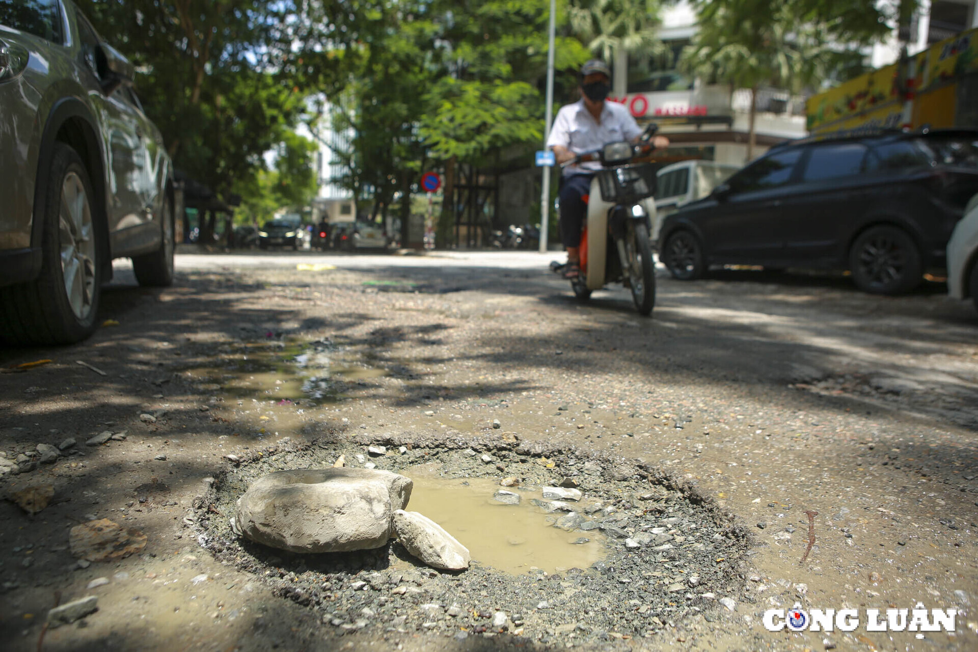 can canh o voi o ga bay nguoi di duong tai con ngo trung tam ha noi hinh 6