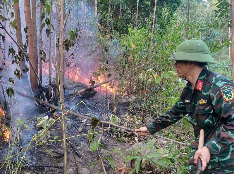 huy dong gan 500 nguoi xuyen dem tham gia chua chay rung tai quang binh hinh 2