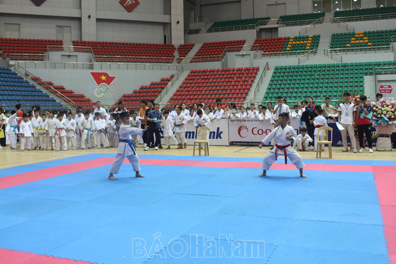 hon 600 van dong vien du giai vo dich cac cau lac bo karate tinh ha nam mo rong nam 2024 hinh 1