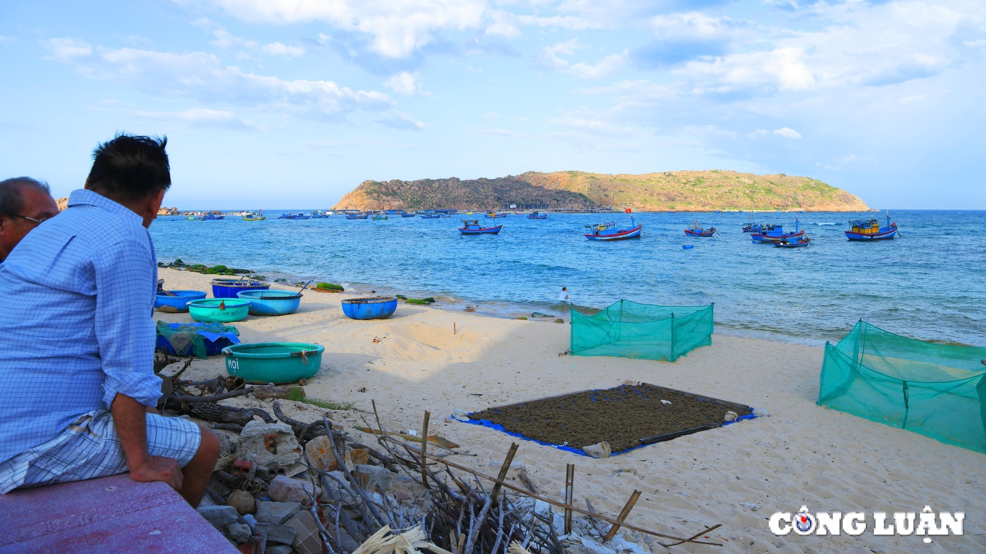 binh dinh gan 500 chu rua con chao doi tai bo bien xa dao nhon hai hinh 2