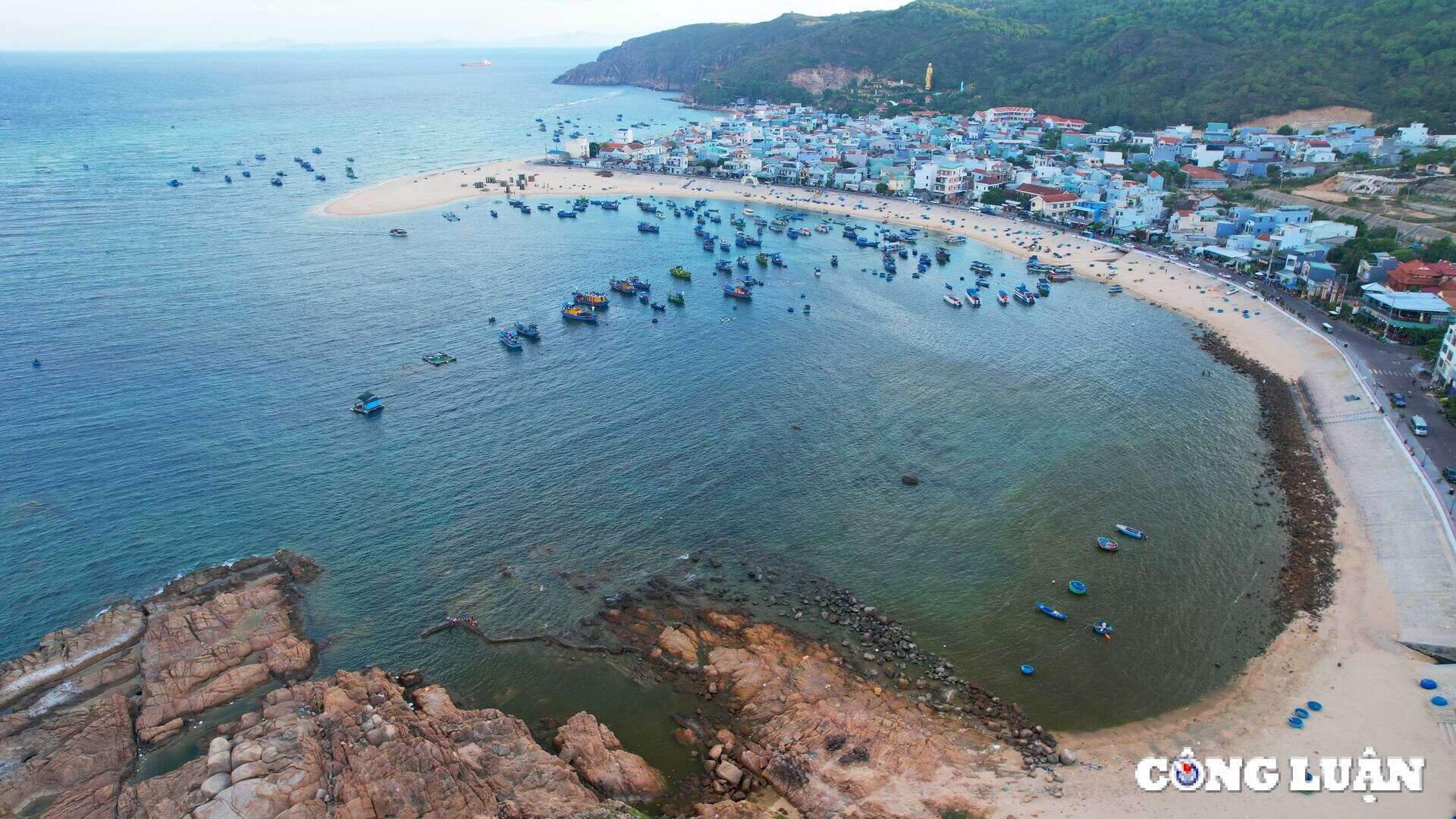 binh dinh gan 500 chu rua con chao doi tai bo bien xa dao nhon hai hinh 1