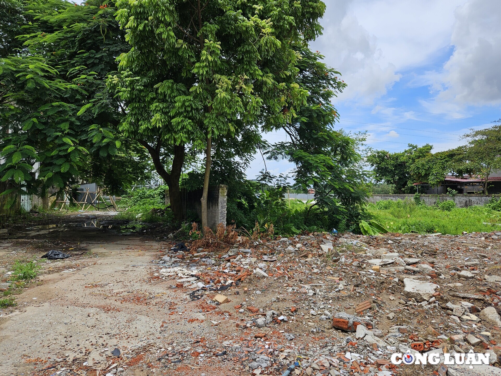 hai phong cuong che thu hoi dat de xay dung vuon hoa cong cong hinh 2