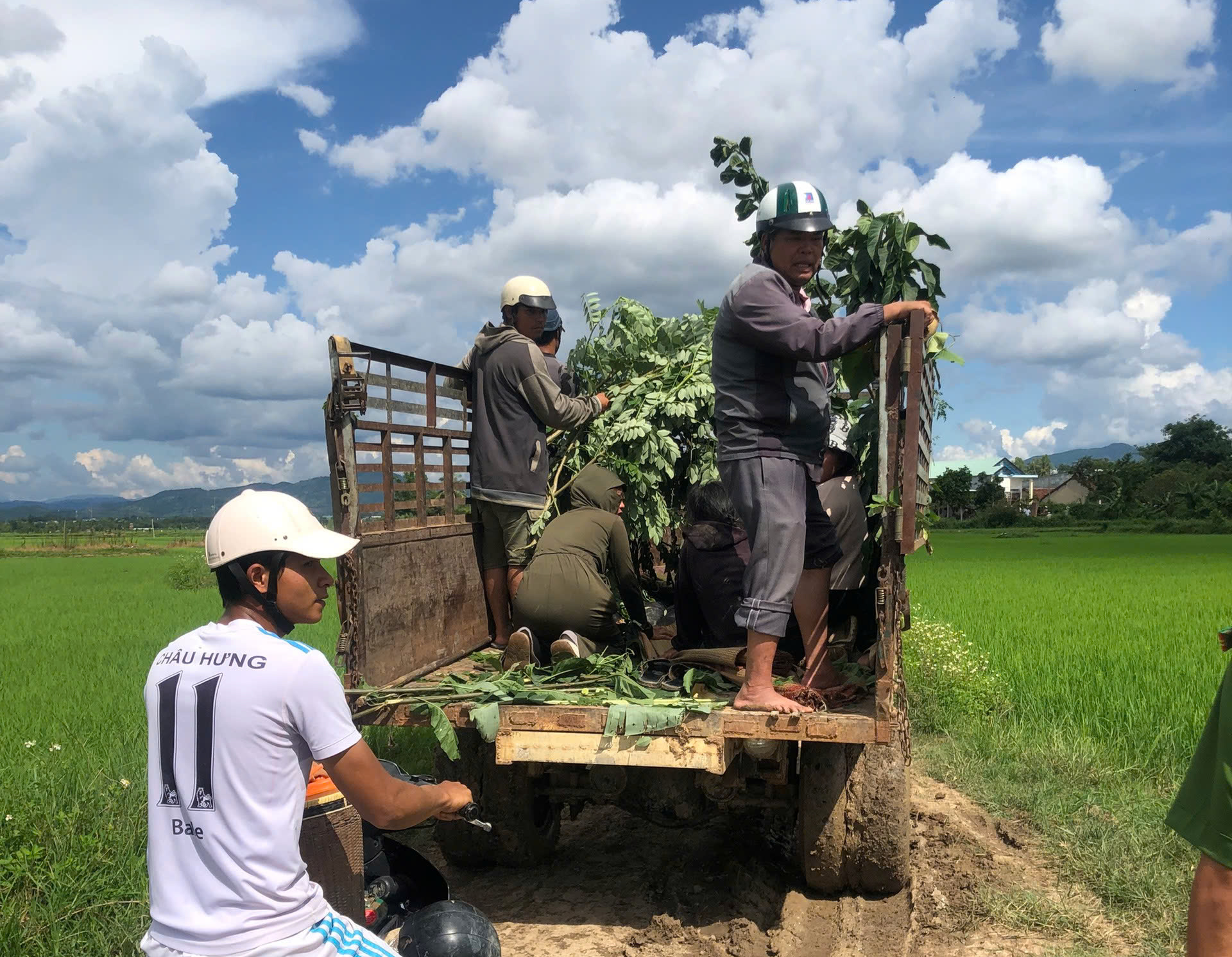 kon tum hai be gai duoi nuoc thuong tam trong luc rua ma hinh 1