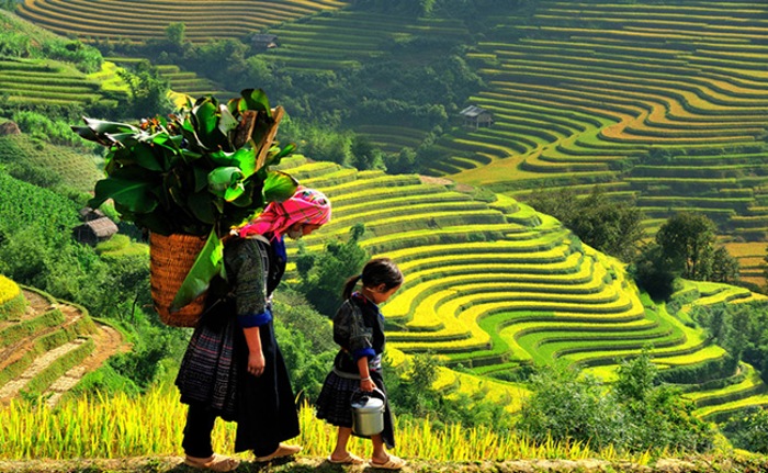 lao cai to chuc le hoi mua thu sa pa vao dip nghi le 2 9 hinh 3