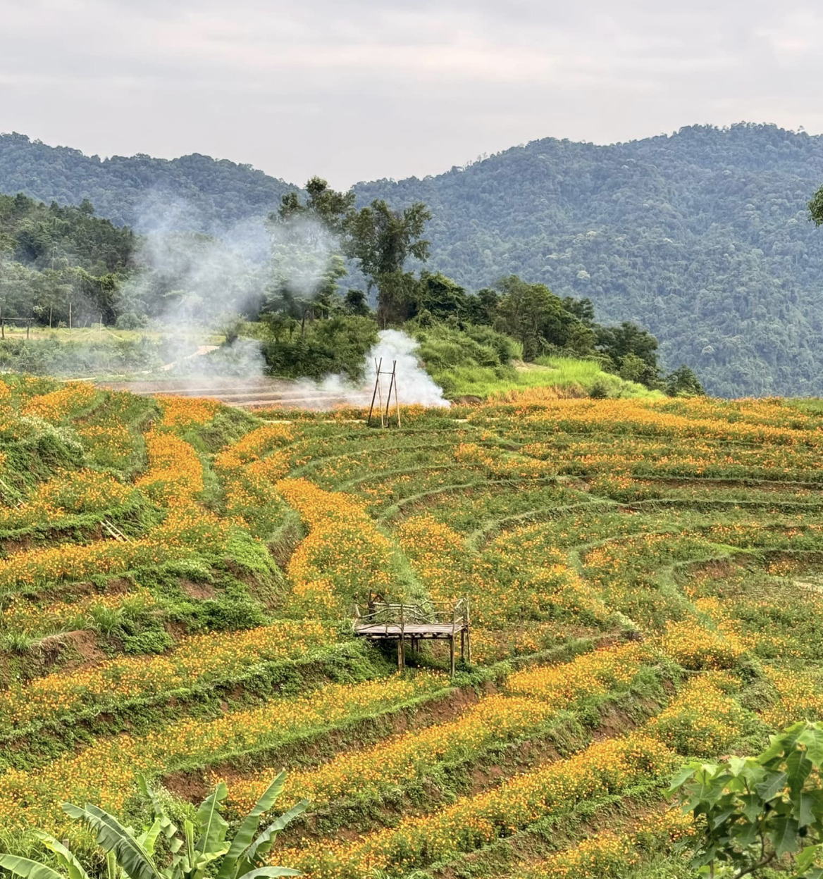 ve xom mung hoa minh trong buc tranh thanh binh da sac mau hinh 3