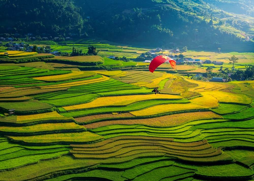 festival du luon 2024 trai nghiem bay tren ruong bac thang dep nhat the gioi hinh 3