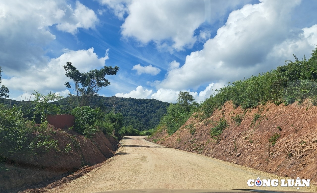 kon tum se khai thac hon 700 m3 go de mo duong sang gia lai hinh 2