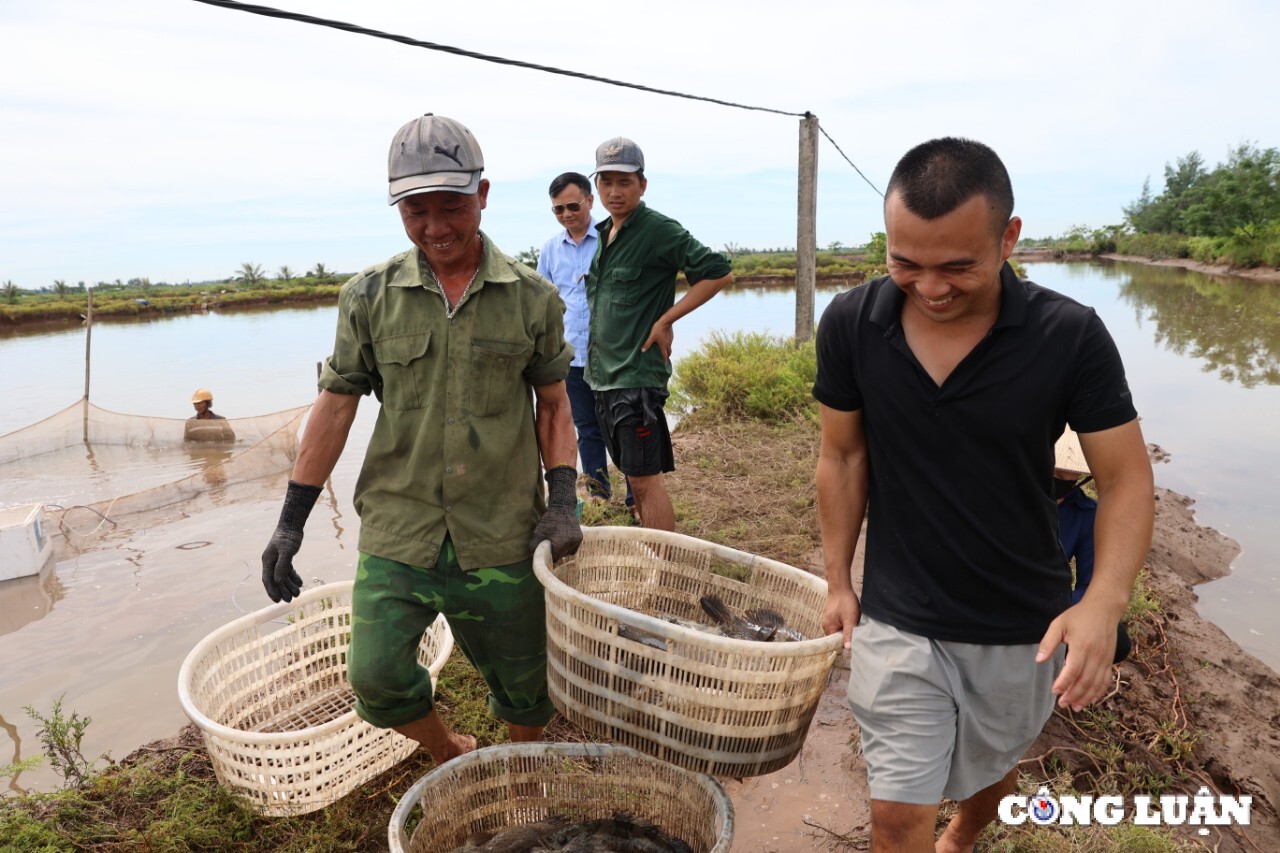 cac ho dan tai con xanh nam dinh dong thuan ban giao mat bang cho du an huong toi tuong lai tuoi sang hinh 5