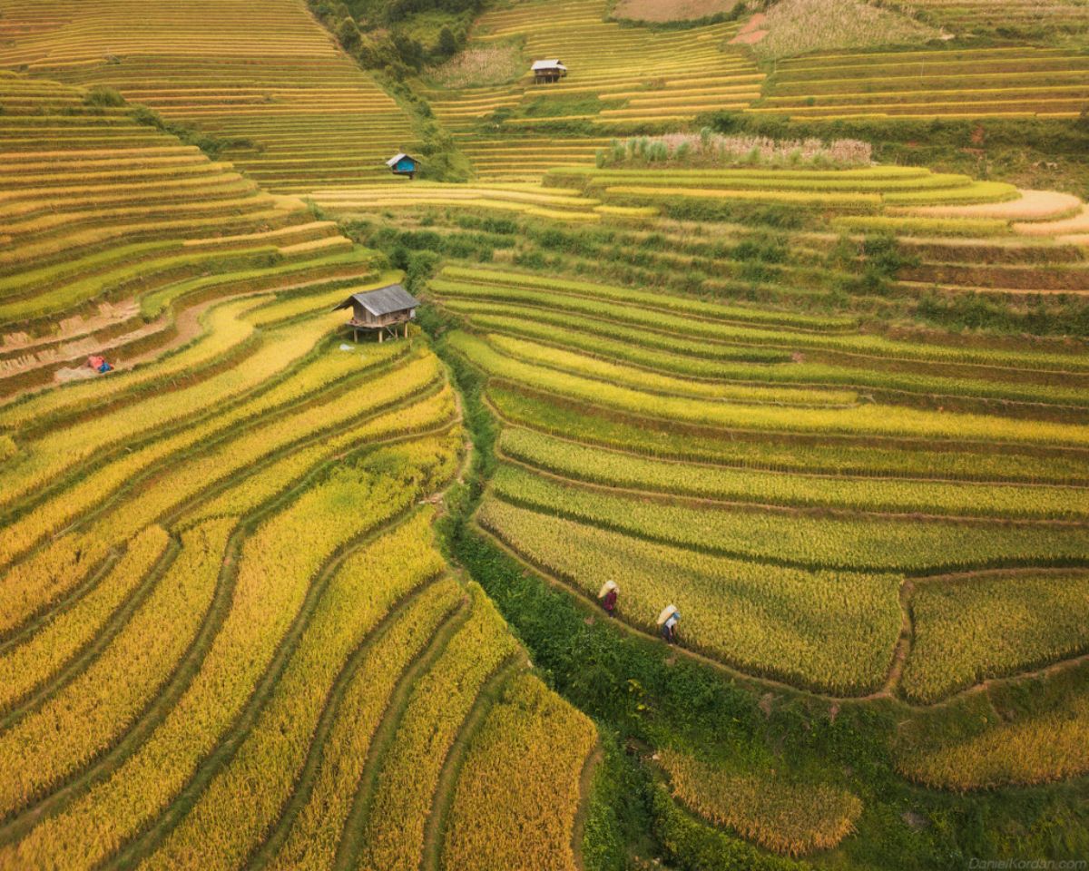 ve dep tu tren cao cua viet nam qua lang kinh nhiep anh gia nguoi nga hinh 7