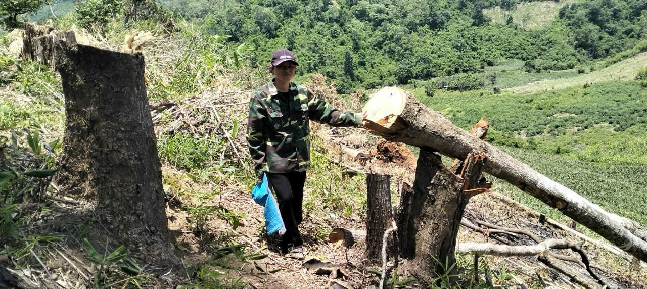 gia lai rung tu nhien o kong chro lai bi cao trang hinh 2