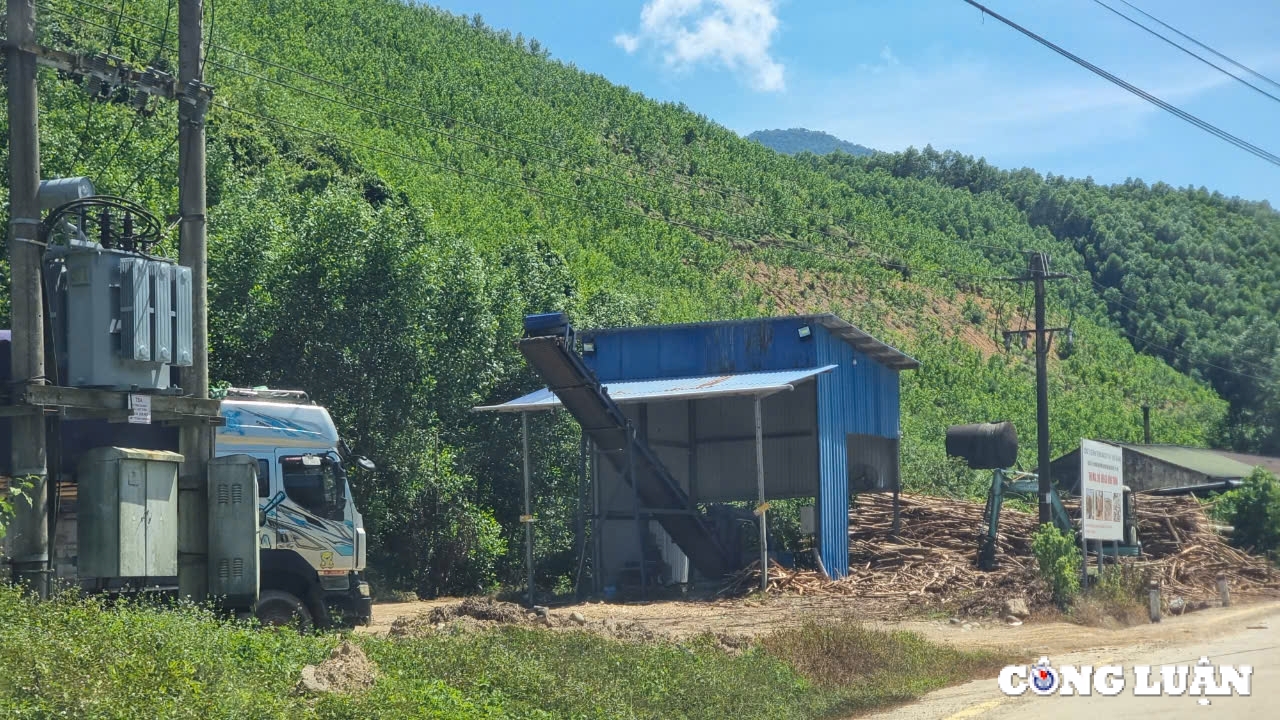 thua thien hue tram can trai phep o to het han dang kiem van ngang nhien hoat dong tai huyen nam dong hinh 1