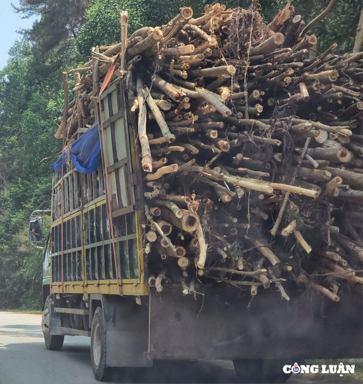 thua thien hue tram can trai phep o to het han dang kiem van ngang nhien hoat dong tai huyen nam dong hinh 6