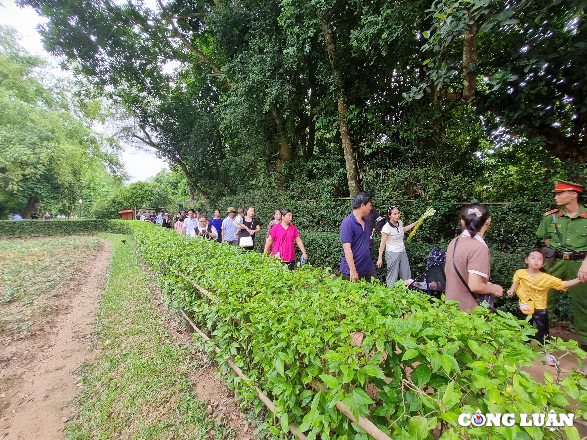 hang nghin du khach ve tham que bac trong dip le quoc khanh hinh 7