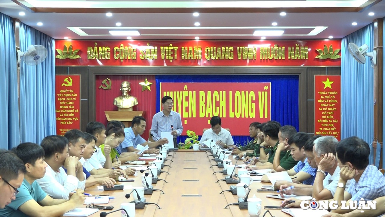 hai phong chu dong phong chong bao so 3 hinh 1