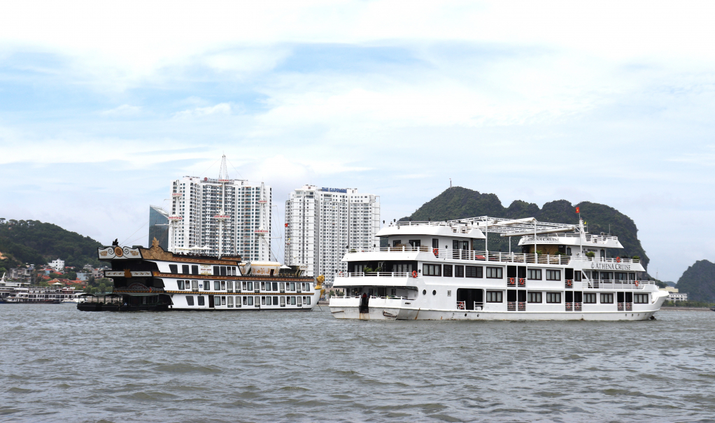 hang loat du thuyen dem tren vinh ha long huy tour de tranh sieu bao yagi hinh 1