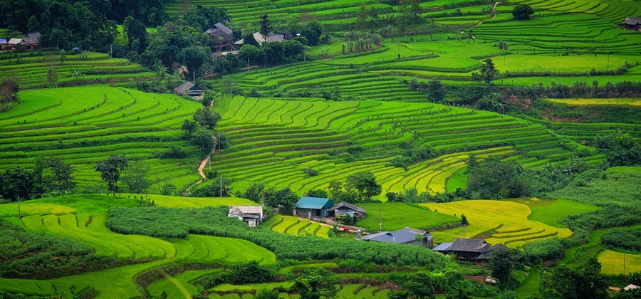 lai chau to chuc chuong trinh xuc tien quang ba du lich tai quang binh hinh 1