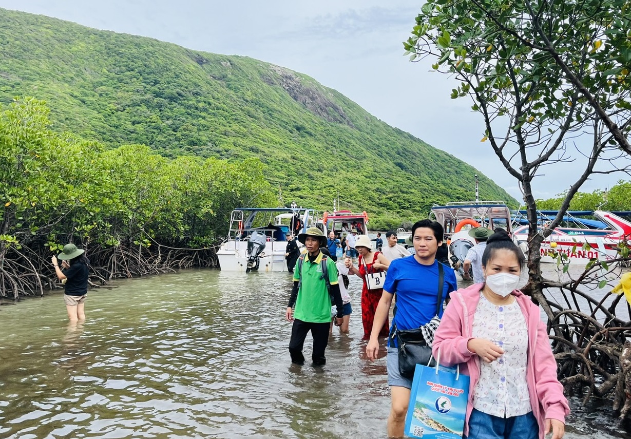 du lich viet nam huong toi net zero chuyen doi xanh kien tao tuong lai ben vung hinh 2