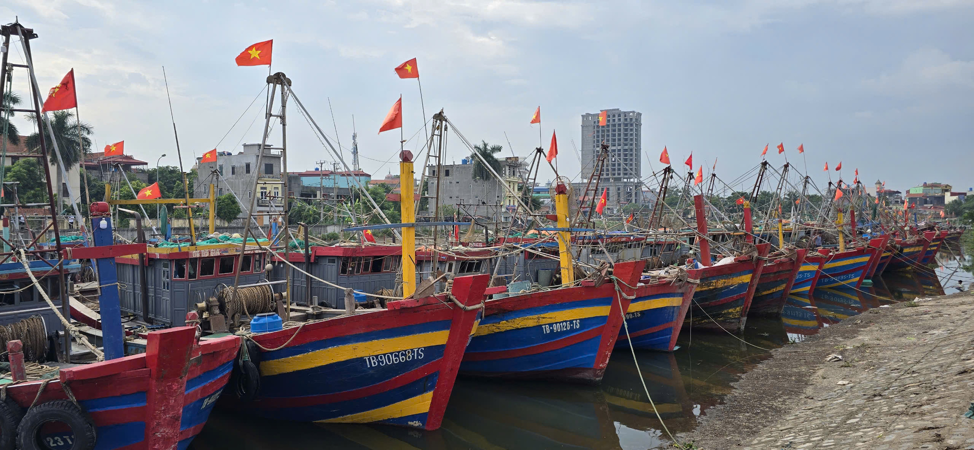 bo truong le minh hoan kiem tra cong tac ung pho bao so 3 tai thai binh hinh 2