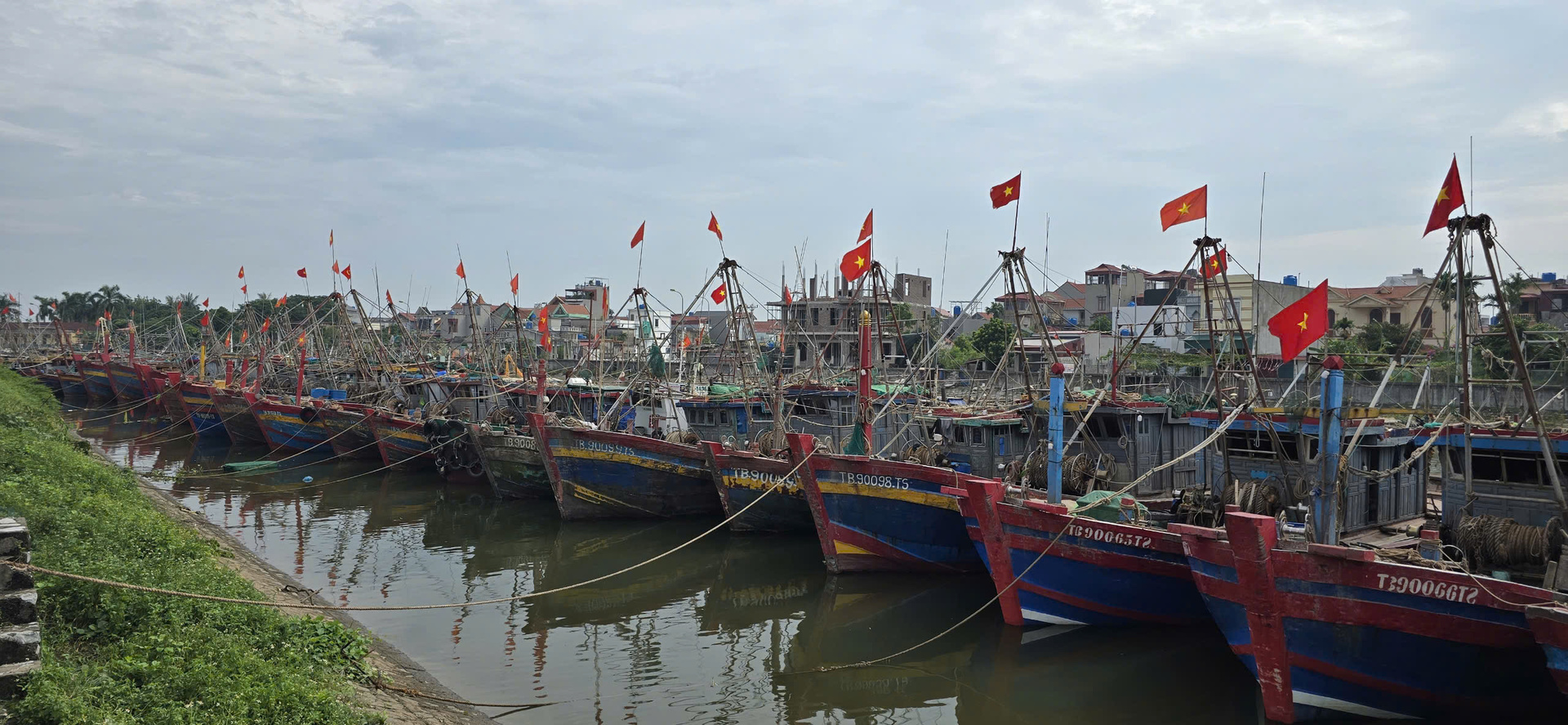 bo truong le minh hoan kiem tra cong tac ung pho bao so 3 tai thai binh hinh 6