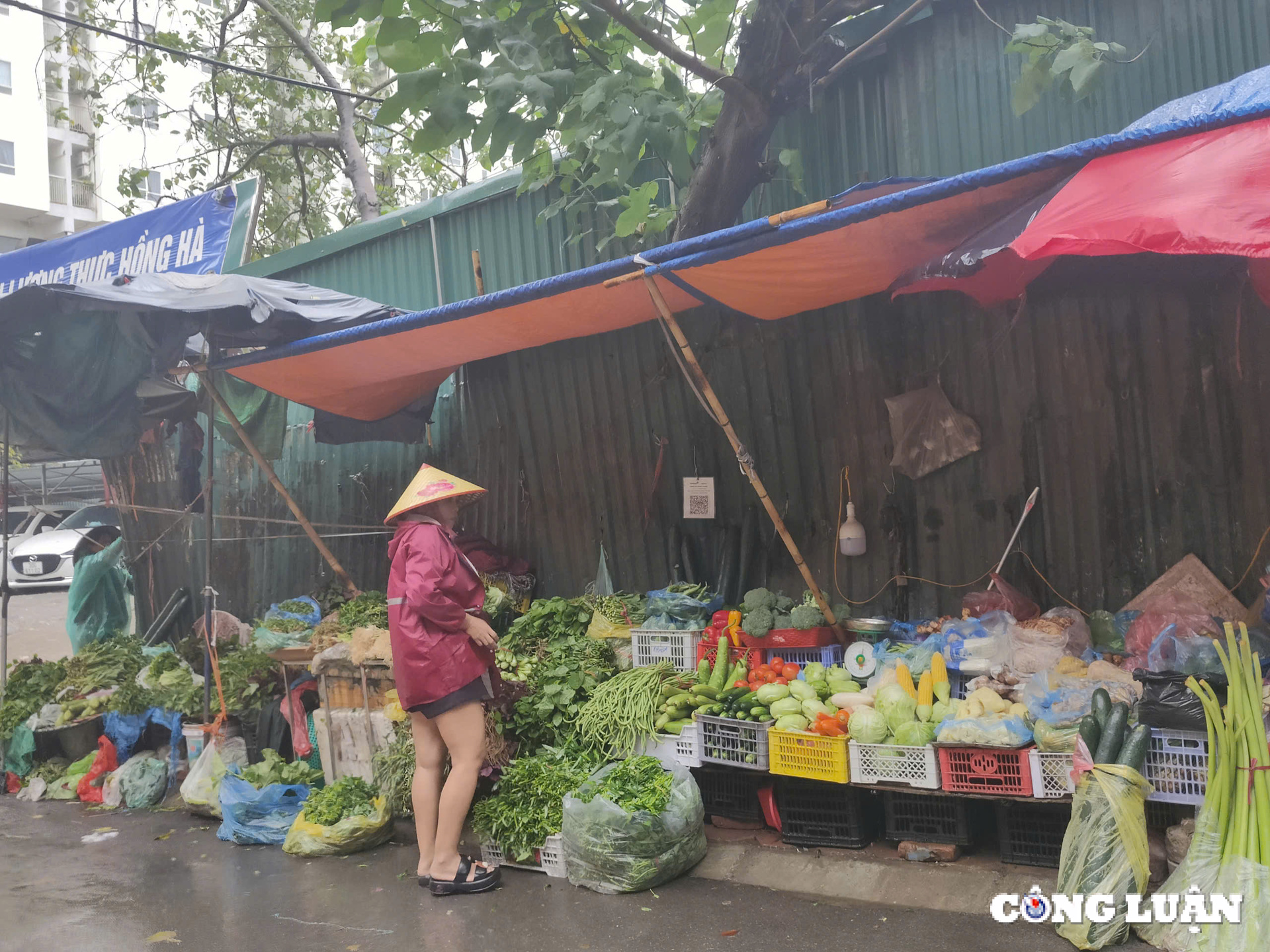 ha noi het canh vet sach cho hang hoa doi dao gia rau tang manh truoc gio bao do bo hinh 1