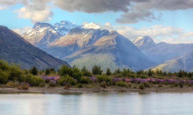 new zealand tang thue du lich voi khach quoc te hinh 1