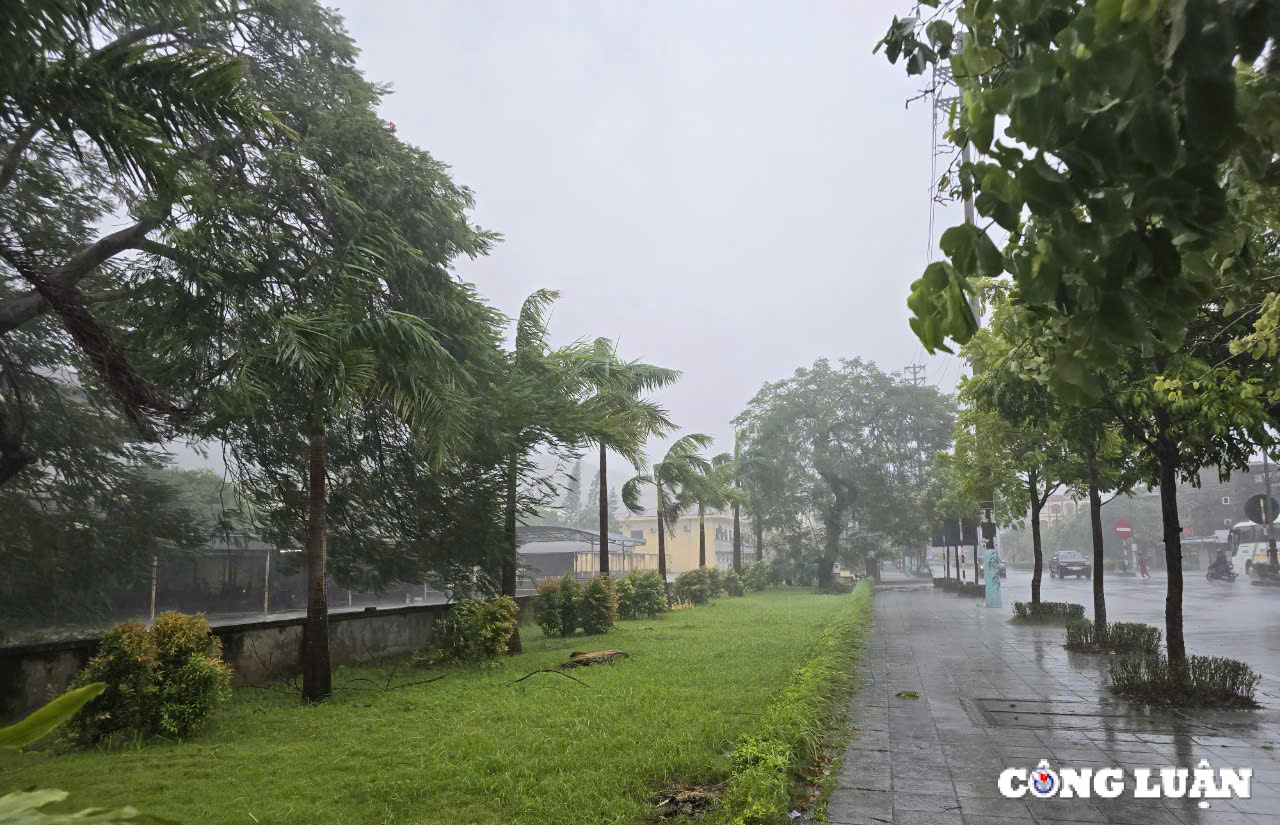 quang ninh mat dien do bao yagi gia ca hang hoa thieu yeu dang tang hinh 1