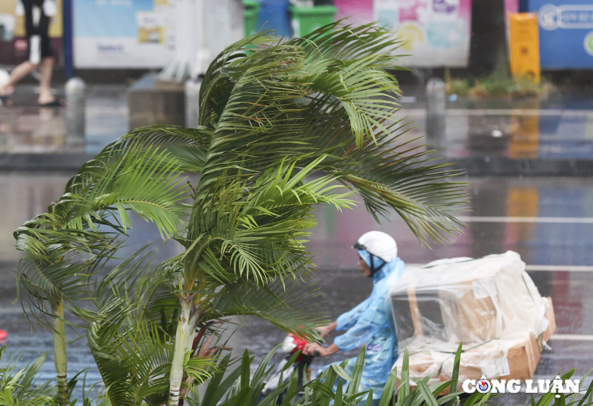 ha noi duong pho vang lang cua hang dong cua nin tho cho bao yagi do bo hinh 5