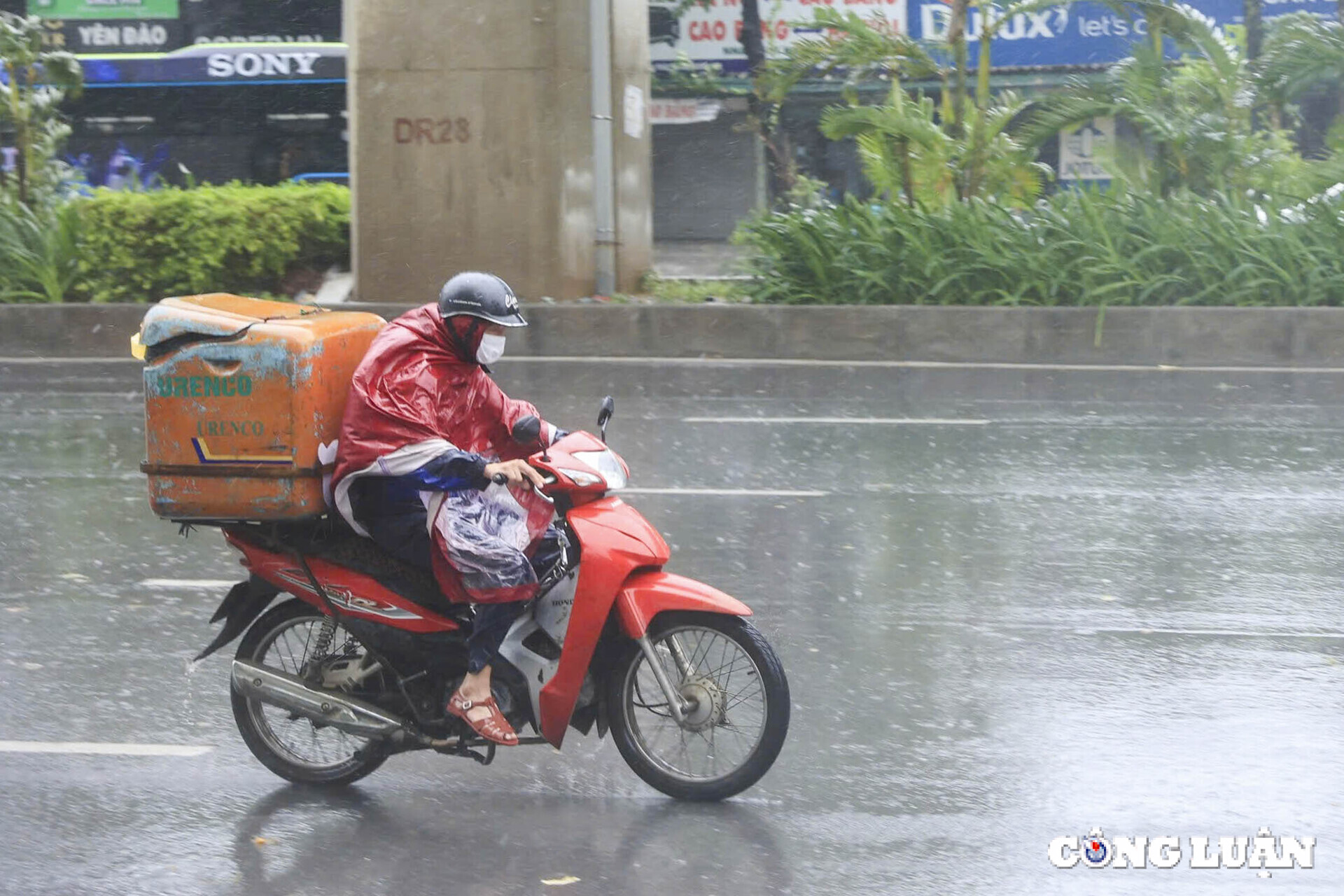 ha noi duong pho vang lang cua hang dong cua nin tho cho bao yagi do bo hinh 6