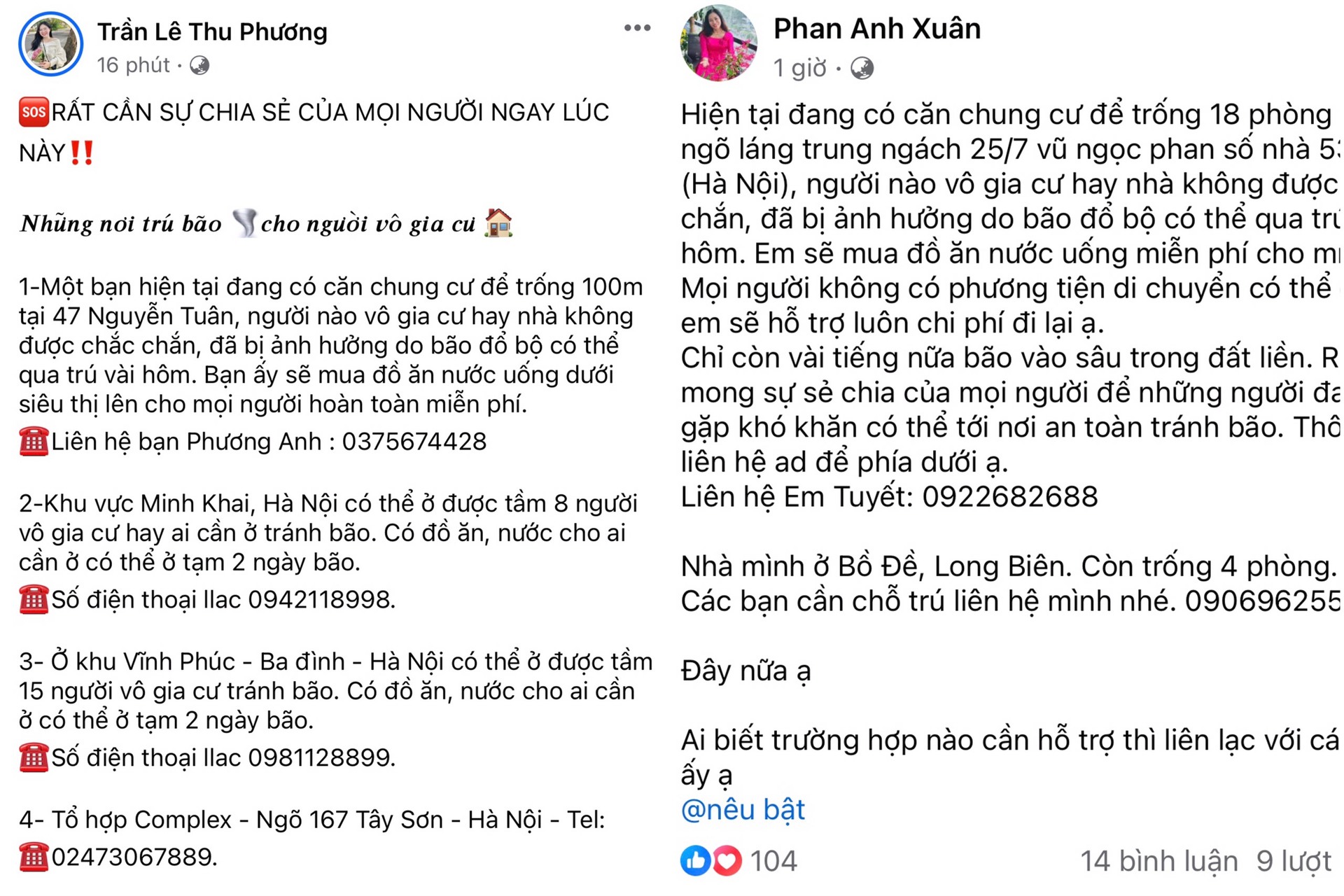 am long tinh cam dong bao trong tam bao yagi hinh 1