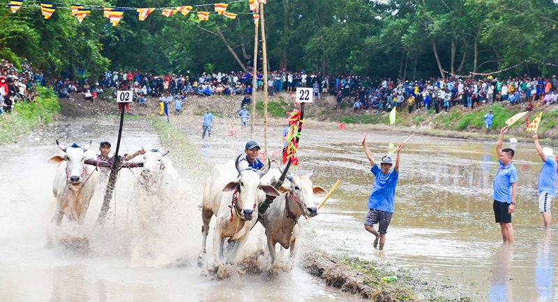 doc dao hoi dua bo chua ro cua dong bao khmer an giang hinh 1