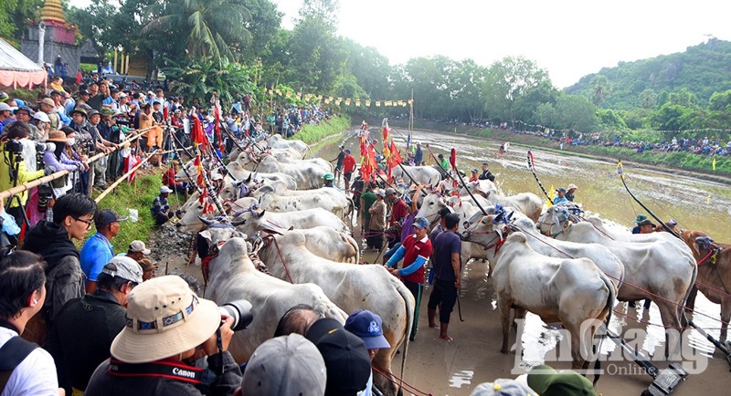 doc dao hoi dua bo chua ro cua dong bao khmer an giang hinh 2