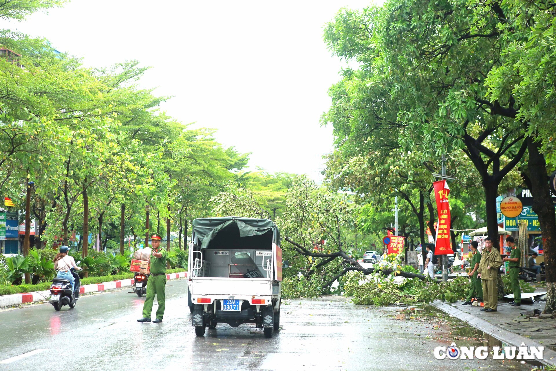 ha noi hang loat o to bi cay xanh de bep sau bao so 3 hinh 21