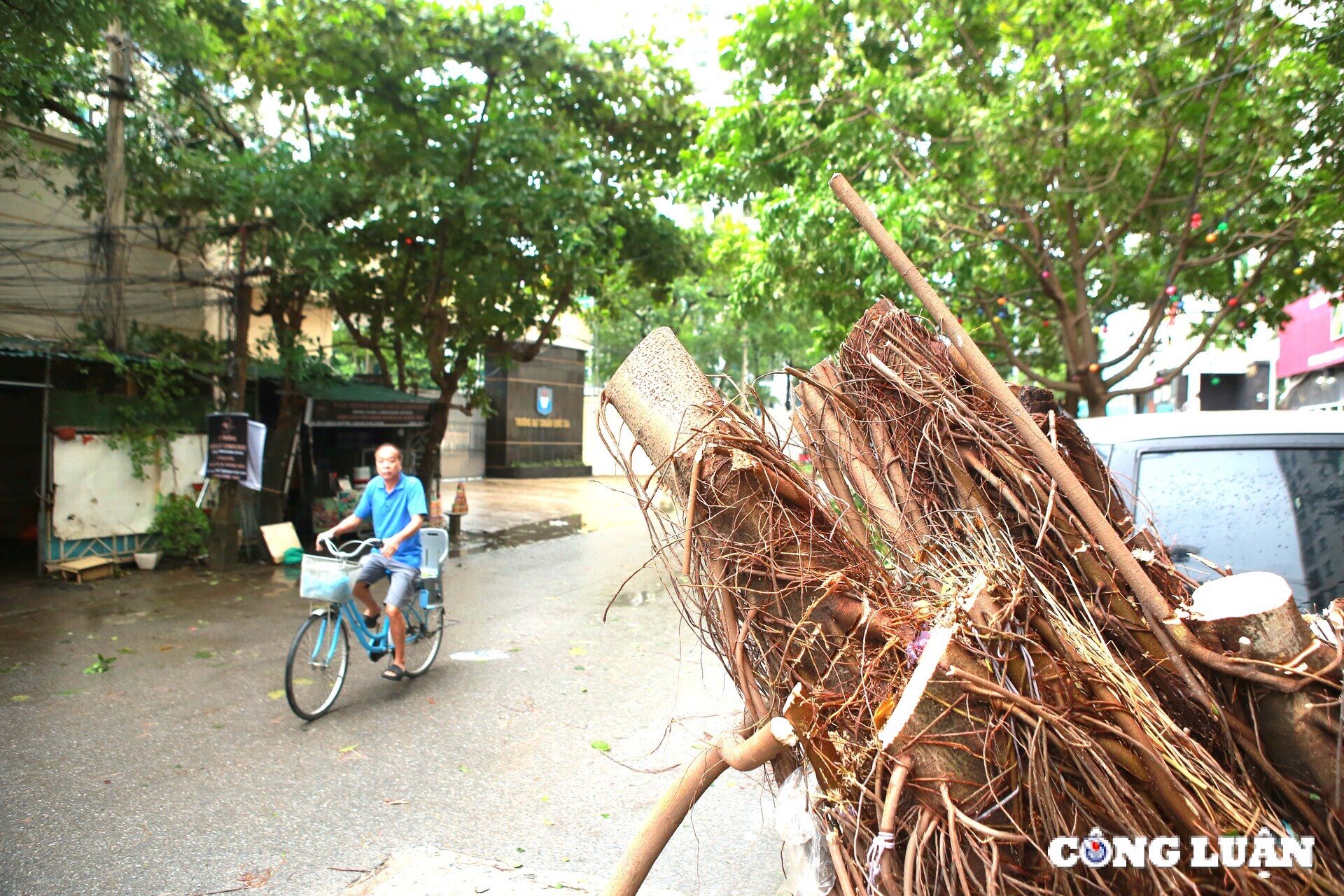 ha noi hang loat o to bi cay xanh de bep sau bao so 3 hinh 20