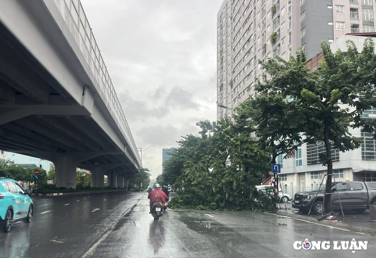 ha noi cay xanh gay do ngon ngang tren nhieu tuyen duong sau bao yagi hinh 8