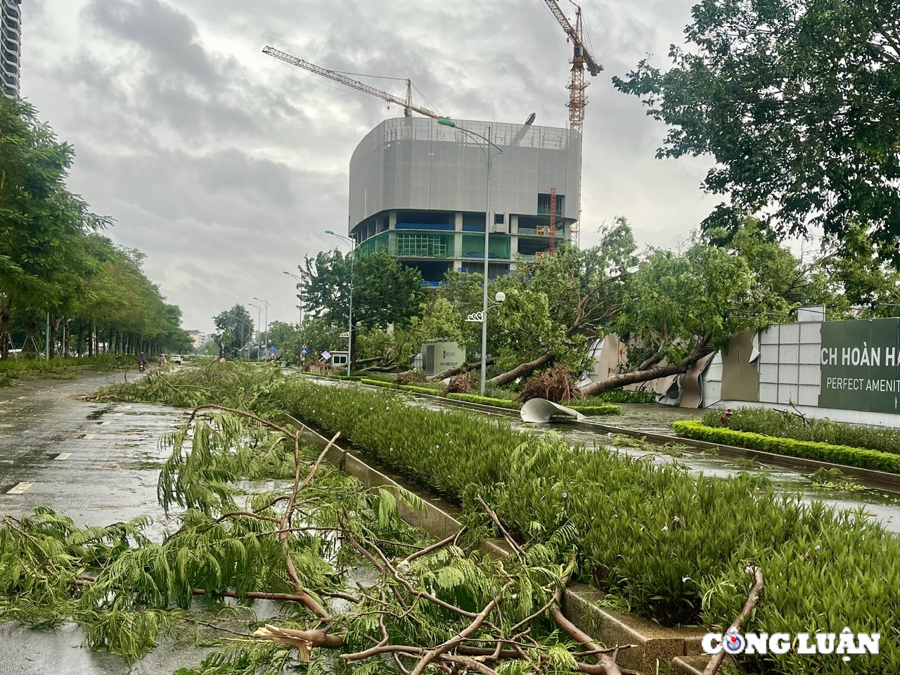 ha noi cay xanh gay do ngon ngang tren nhieu tuyen duong sau bao yagi hinh 9