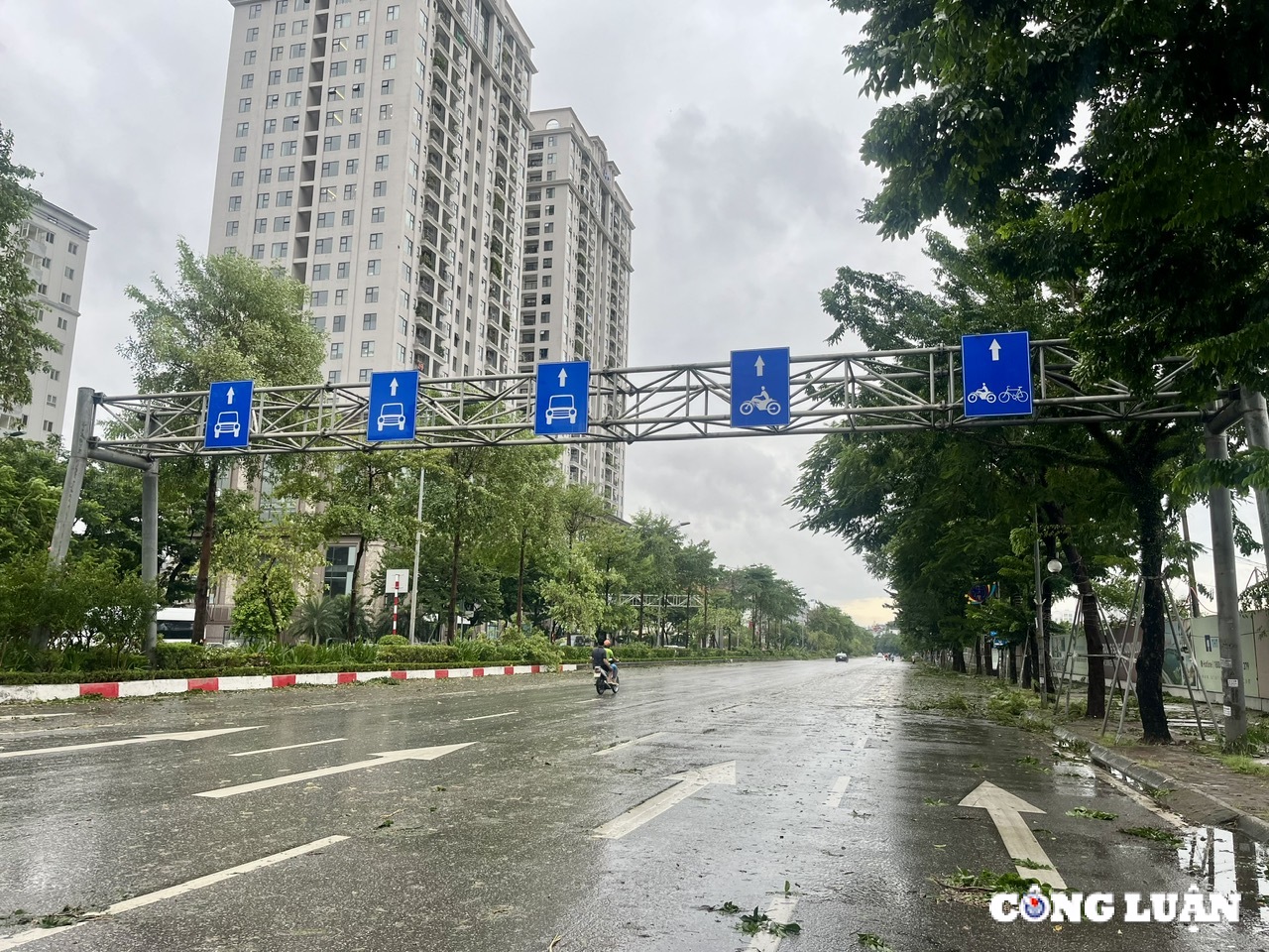 ha noi cay xanh gay do ngon ngang tren nhieu tuyen duong sau bao yagi hinh 10