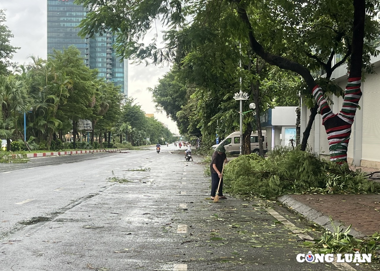 ha noi cay xanh gay do ngon ngang tren nhieu tuyen duong sau bao yagi hinh 13