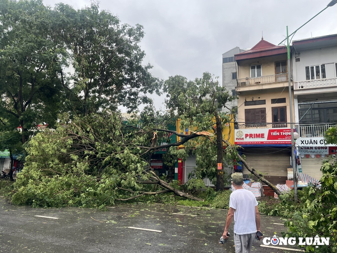 ha noi cay xanh gay do ngon ngang tren nhieu tuyen duong sau bao yagi hinh 15