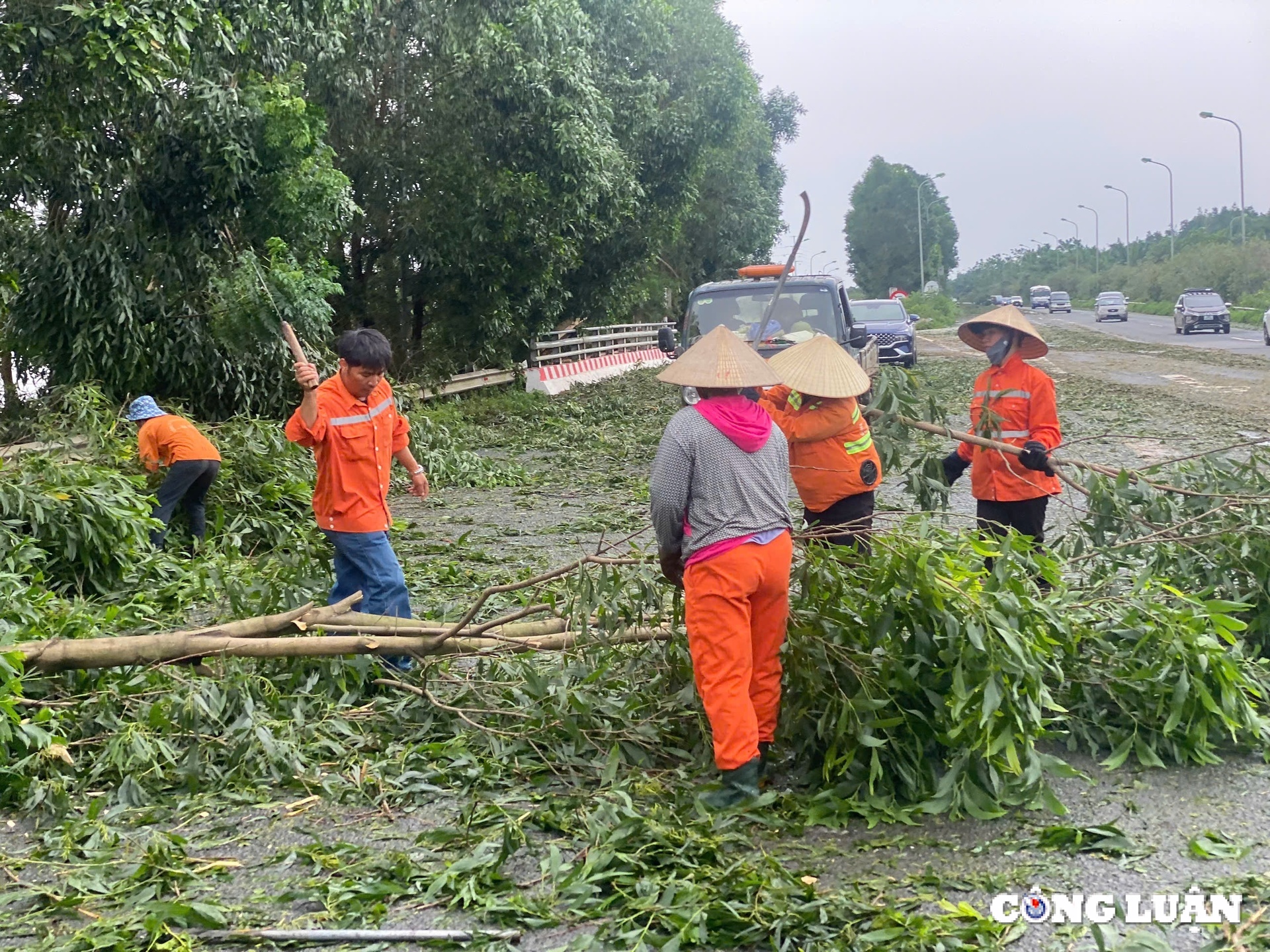 ha noi tiep tuc ra cong dien khac phuc hau qua sau bao hinh 1