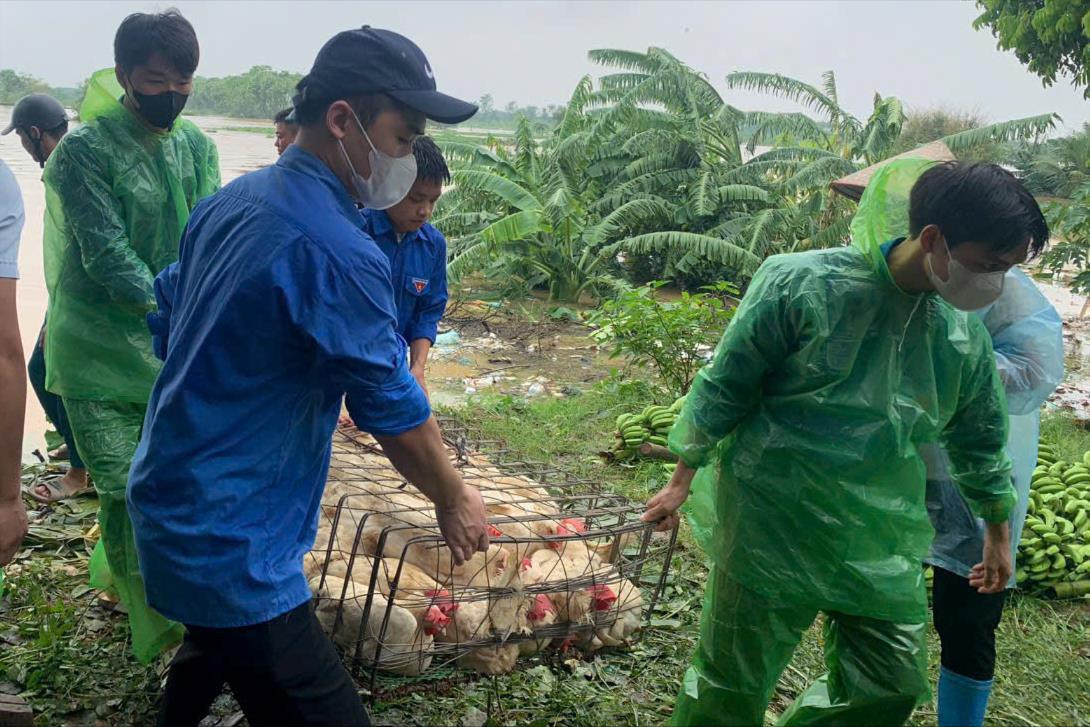 ha noi chu dong ung pho ngap lut khi nuoc lu tu cac song len cao bao dam nguoi dan duoc an toan hinh 2