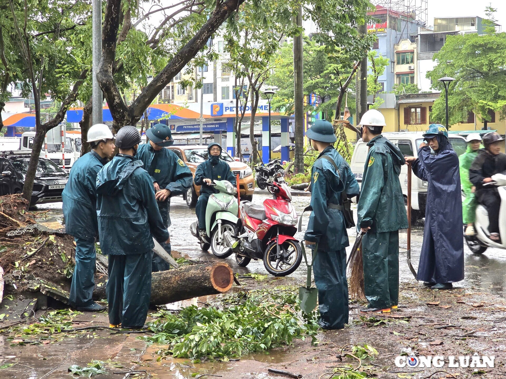 ha noi khan truong giai toa khac phuc thiet hai ve cay xanh gay do hinh 1