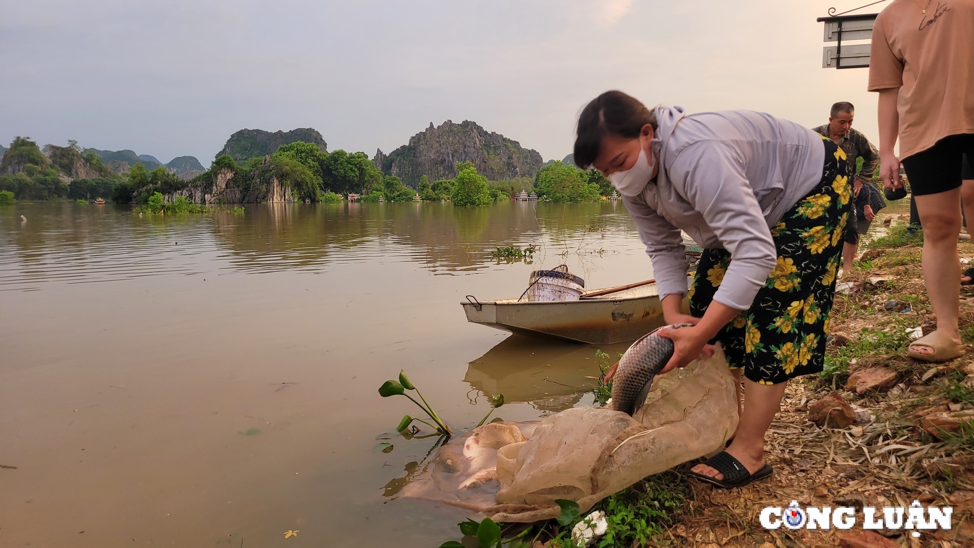 ha noi nhieu xa tai huyen my duc van ngap sau mot so noi chua co dien hinh 18