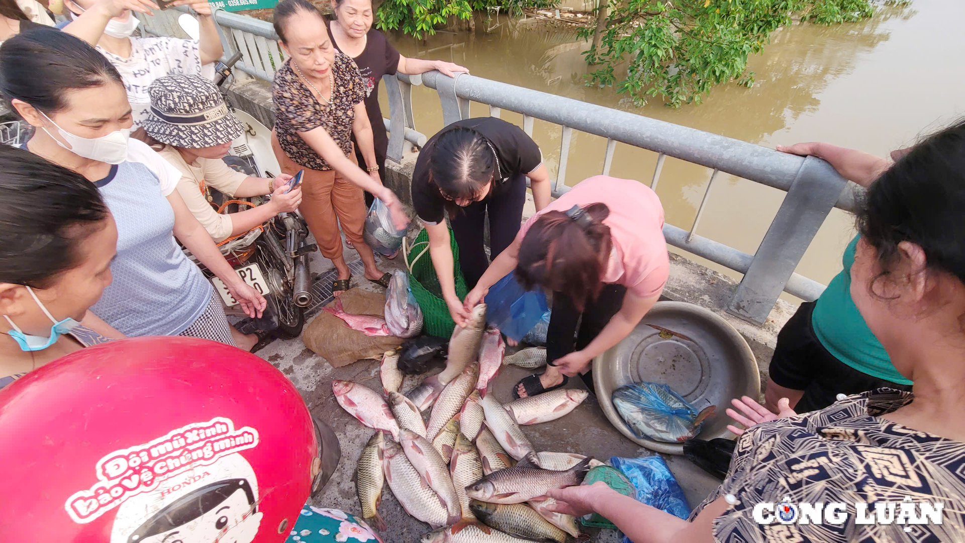 ha noi nhieu xa tai huyen my duc van ngap sau mot so noi chua co dien hinh 19