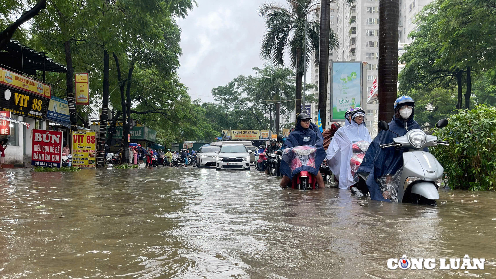 bao yagi di qua thiet hai chua the dong dem hinh 2